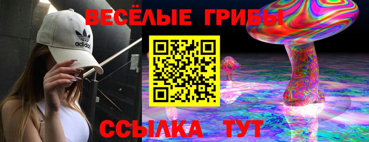 Псилоцибиновые грибы Cubensis  Галлюциногенные грибы Magic Shrooms  Вход с VPN  Джанкой 